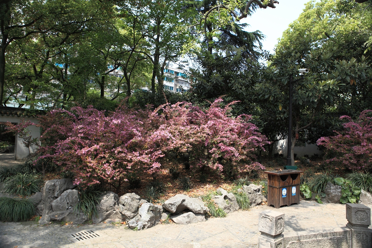 EOS 5D Mark II19_04_20135712.JPG